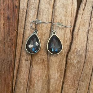 Pair-shaped drop earrings with gold trim.